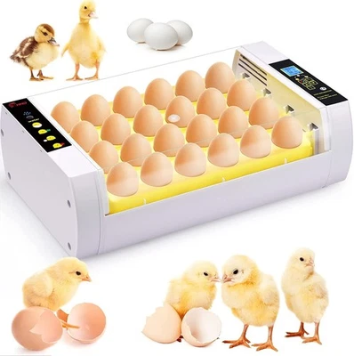 Brutmaschine 24 Eier vollautomatisch mit LED Durchleuchtung und Display - Bild 1 von 4
