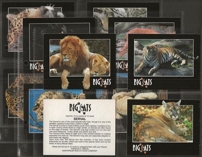 SANATORIUM - FULL SET - BIG CATS 1992 (X12 KARTEN) TOP+++