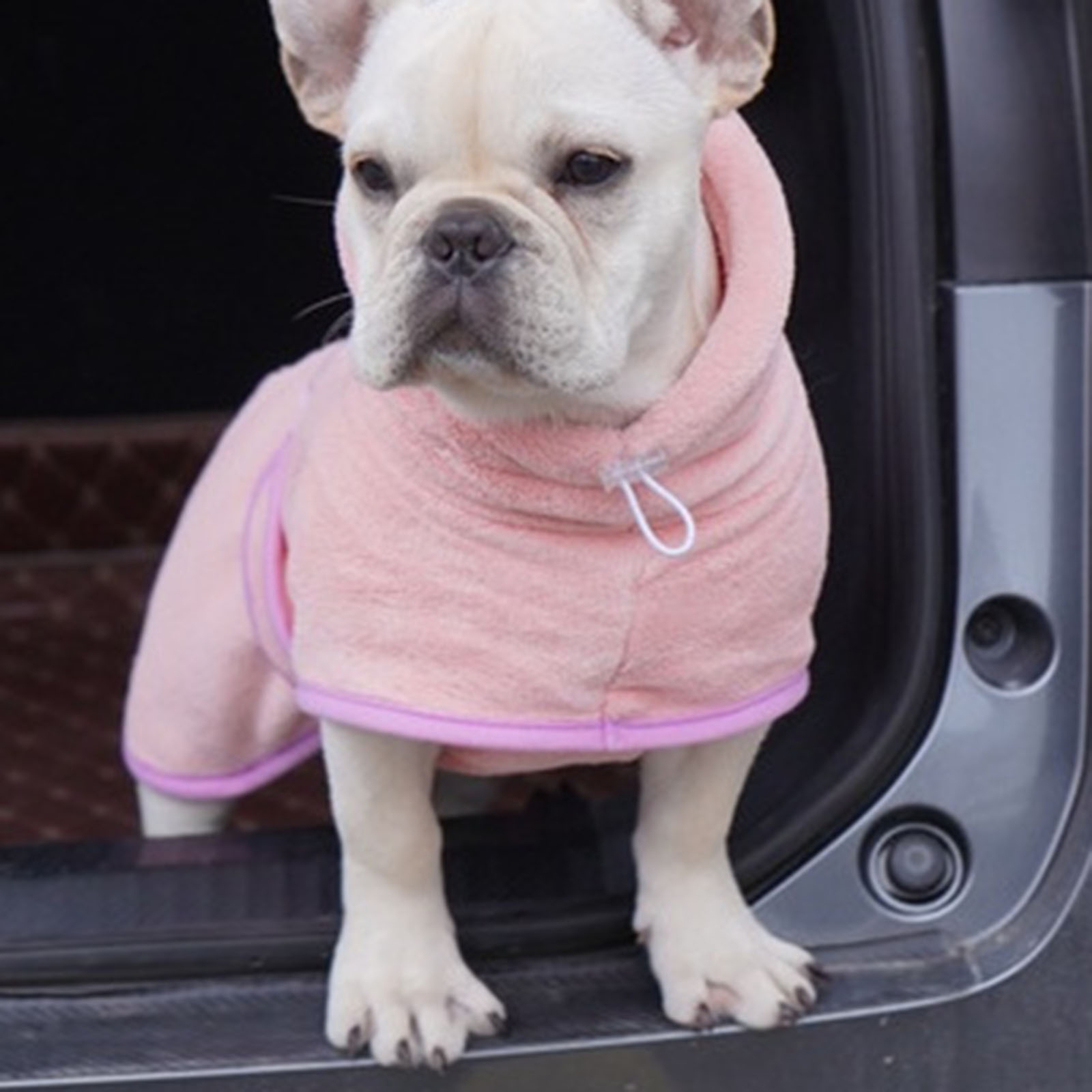 Pet Bathrobe Towel Coral Fleece Fast Dry Large Medium Small Dogs Cats