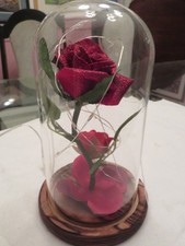 Beauty and The Beast Rose in Glass Dome, Lasts Forever Red Rose with LED Lights,