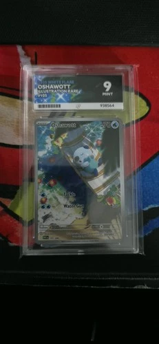 Pokemon TCG Oshawott Illustration Rare White Flare 105/086 Gem Mint Ace 10