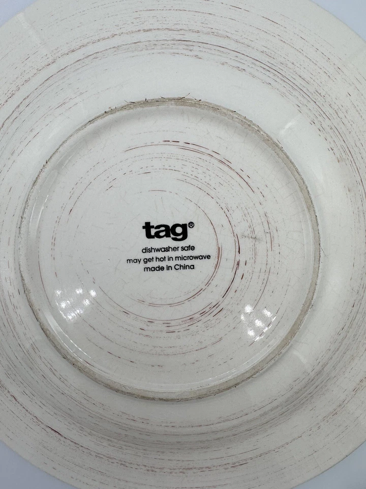 Tag Sonoma Dinner Plate Ivory Ironstone Dishwasher Safe Full Size 11" China - Imagem 3 de 4