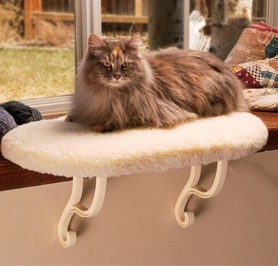 window sill cat bed