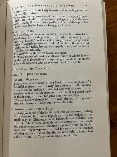 Shrubs For The Milder Counties By W Arnold-Forster 1948 FIRST EDITION - Picture 10 of 12