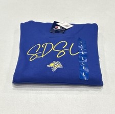 Champion Men's Long Sleeve Pullover Hoodie, Blue, Size L