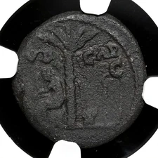 ROMAN EMPIRE. Titus, AD 79-81. Æ Semis, IVD CAP, Judaea Capta, NGC Choice Fine