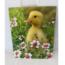 Vintage Mead Trapper Keeper Folders Animal Photo Duck Kitten Fox Set of 3