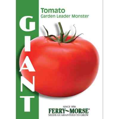 Tomato _ プロフ必読お願いします Ferry Morse Tomato Garden Leader Monster Seeds Vegetable Non GMO