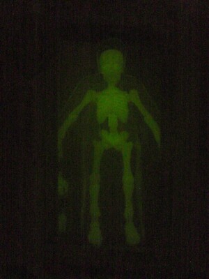 Pose Skeleton HUMAN 03 LARGE #12 PHOSPHORESCENT Glow in Dark figure 1:18 Re-Ment