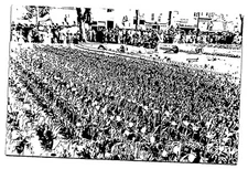 RPPC Tulip Time Floral Orange City Indiana Real Photo c1920 Vintage Postcard