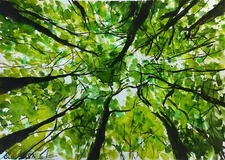 Forest Painting Foliage Watercolor Original Art Sky Artwork Leaf Wall Art