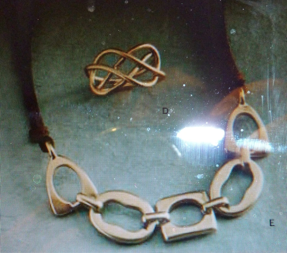 NWT - LIA SOPHIA "SHAPESHIFTER" NECKLACE - GOLD/BROWN LEATHER - $36 - Image 2 of 3