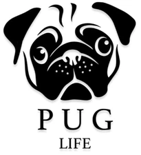 Vinyl Decal for Window  - Pug Life, Various Colors & Sizes