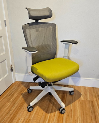 Ergo Chair 2, Gray, White and Green, Ergonomic, Adjustable, Sturdy