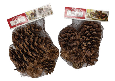 Holiday Time Cinnamon Scented Pine Cones 225G, 14 oz. Various Sizes