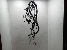 02 03 04 05 Toyota Echo Engine Wire Harness 82121-52640