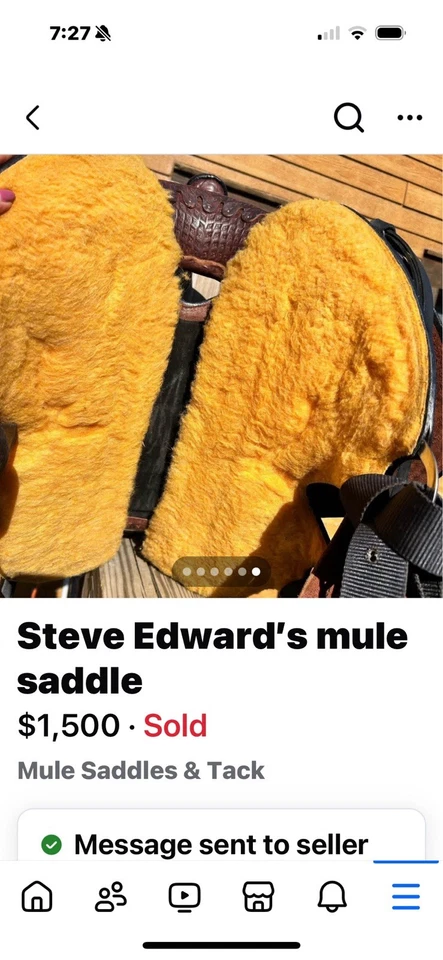 Steve Edward's Ultra Lite 骡鞍 15 英寸 状况完好 — 第 4/4 张图片