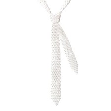 Ties for Women Long Rhinestone Womens Tie with Sparkling Crystal for White