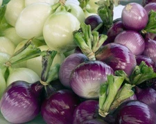 PURPLE ONION SEEDS * 100 SEEDS* SWEETEST*HEALTHFUL* FREE COMB. SH