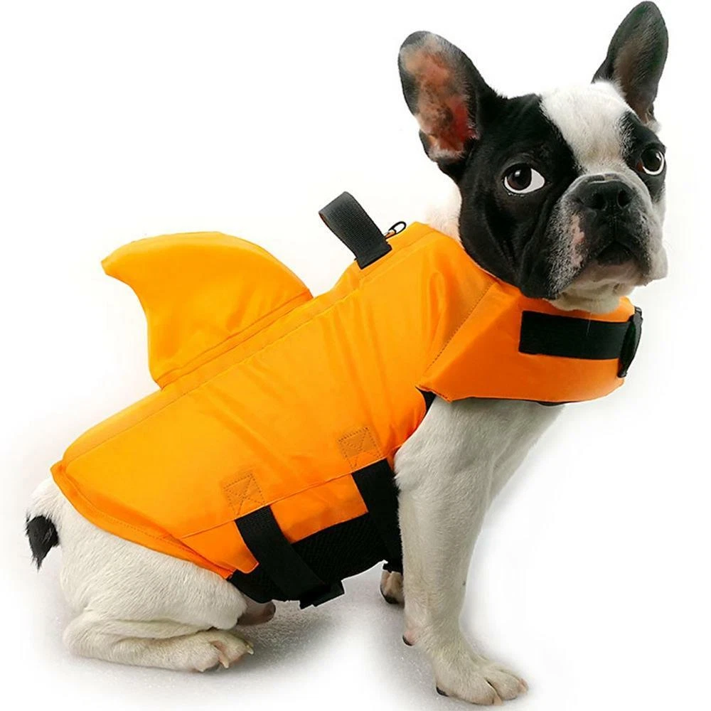 French bulldog shark life jacket sale