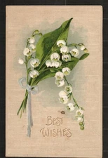 Old Postcard Best Wishes Card Embossed Flowers Roses Blue Earth MN post mark