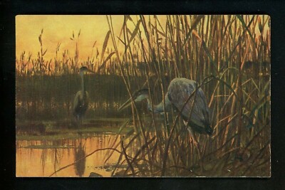 Animals postcard bird crane E.L. Series 1052 Vintage 
