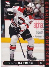 2024-25 Charlotte Checkers Trevor Carrick AHL Panthers