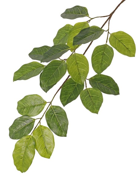 Artplants Banyan Feige Kunstzweig Erasmos, Schwer Entflammbar, GrüN, 80Cm-image