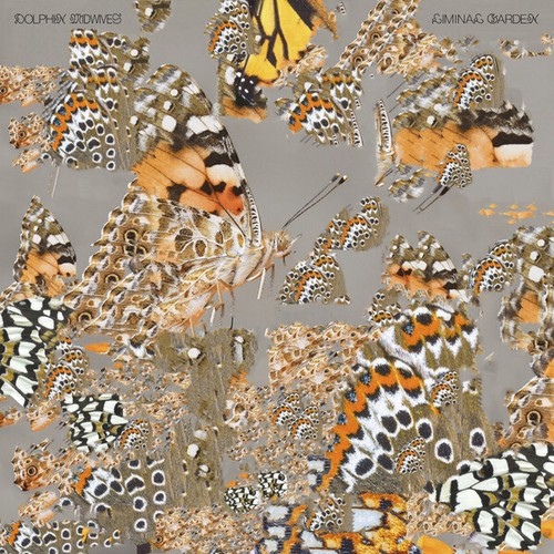 Dolphin Midwives - Liminal Garden - New Vinyl Record - N6999z