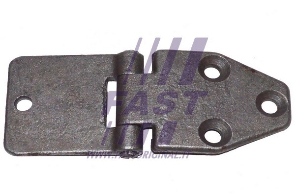 FAST FT95514 Door Hinge for ,IVECO