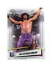 Excellent: 2021 topps Chrome WWE Velveteen Dream Trading Card