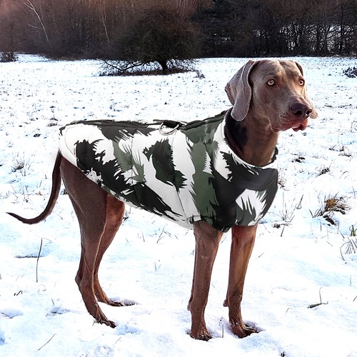 Waterproof Dog Coat Jacket for Winter Apparel Warm Padded Puffer Clothes Pitbull - Picture 15 of 21