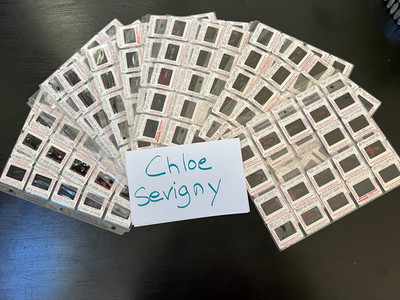 LOT OF 270+ 35mm film Slide Photo transparencies ACTRESS CHLOE SEVIGNY ''IT GIRL''