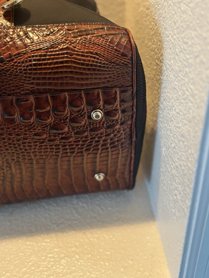 Brahim狗背带Pecan Melborne — 第 4/4 张图片