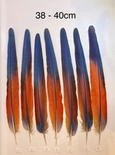 Parrot Macaw Feather Crafts DreamCatcher Jewellery Headdress Spiritual Quill Pen