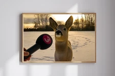 Deer Interview Meme Funny Animal Poster | 8.5x11 24x36