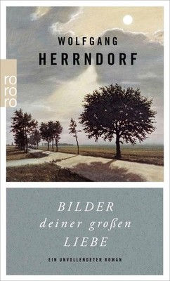 Bilder deiner großen Liebe | Wolfgang Herrndorf | deutsch