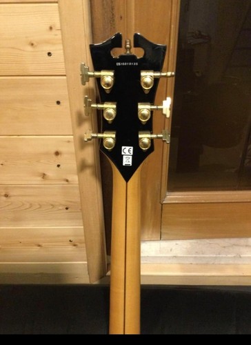Chitarra semiacustica D’ Angelico excel - Foto 5 di 5