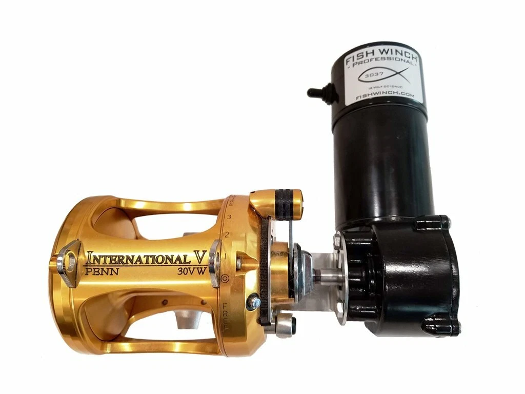 Penn International 30tw | eBay