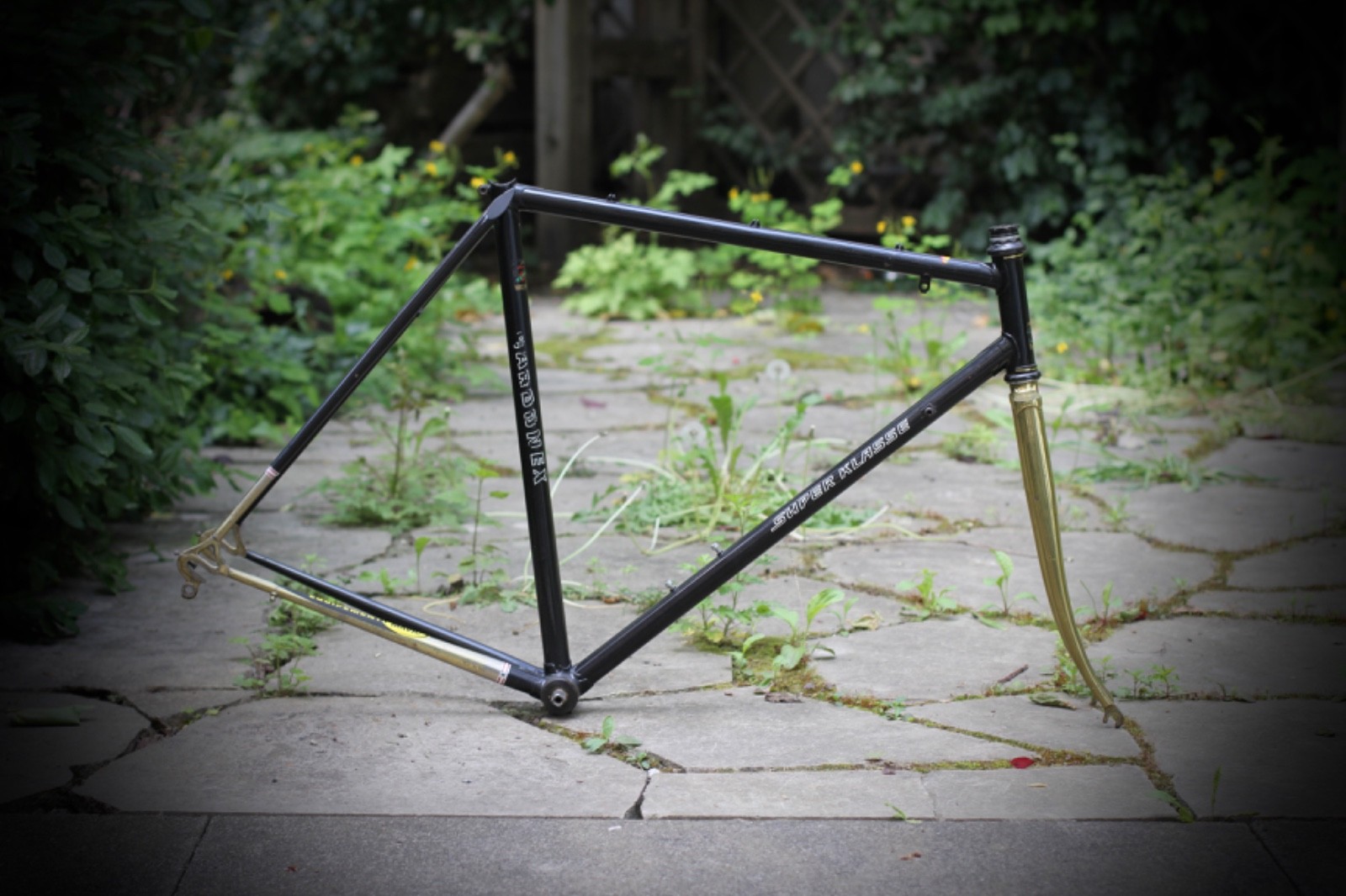 Carbonex Super Klasse Rahmen Frame / 54 cm / Schwarz Gold Reynolds #VELOWIZARD