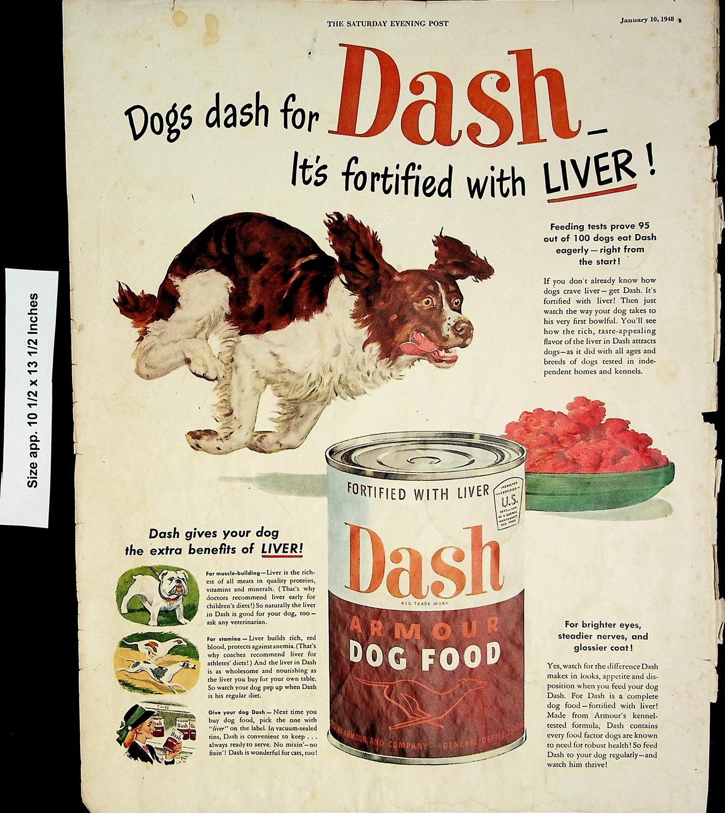 Dash Armour Canned Liver Vintage Print Ad 4156