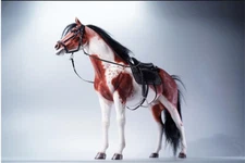 JXK 1/6 American Paint Horse Model Animal Collector GK Decoration Kids Gift Toys