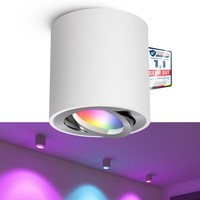 Cori Aufbauspot Weiß Silber Schwenkbar Mit Led GU10 Smart Rgb Dimmbar Leuchte