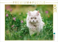 "Calvendo Puzzle An Image From The \"Kittens\" Calendar – British Shorthair Kittens"