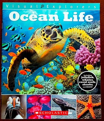 Ocean Life Visual Explorers Paperback 