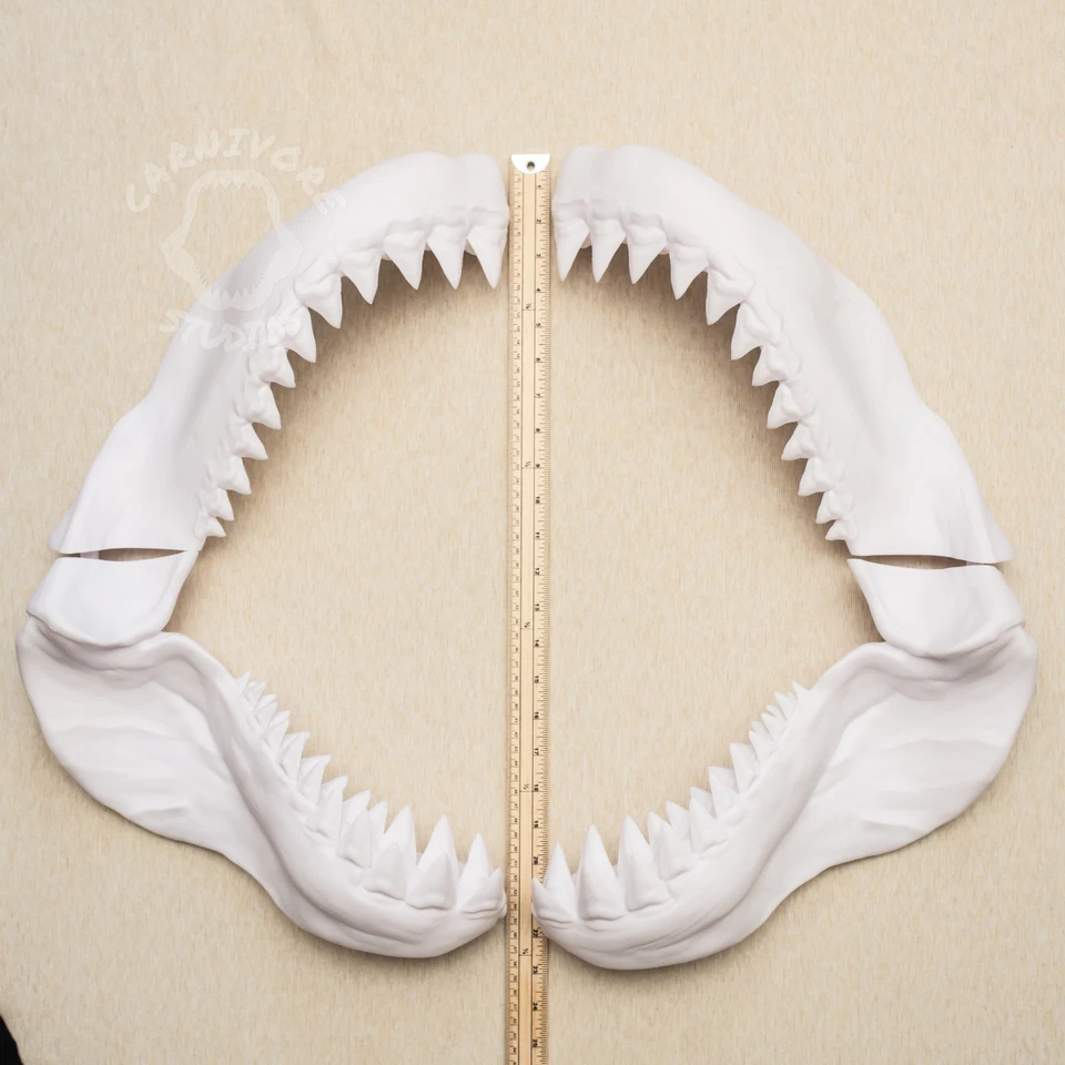 Mandíbula de tiburón 60 cm impresa en 3D gran réplica blanca mini adorno megalodón kit de 4 piezas Foto 3 de 4