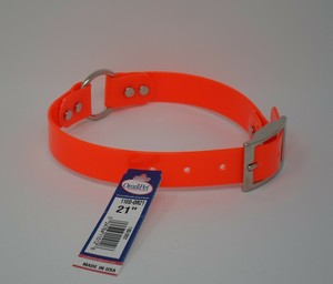 dayglo dog collars