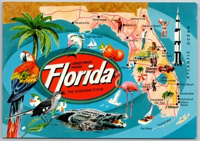 Vtg John Hinde Florida Map Postcard - Cape Kennedy, Disney World, Alligator