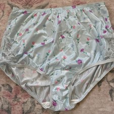 Vintage Vanity Fair Panties Light Blue Floral Nylon 7 L Nouveau Roses