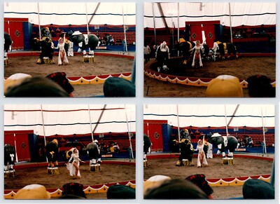 c1980s Cowgirl Elephant~Tricks~Circus Show~Animal Performance~4 Vintage Photos